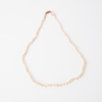 Choker necklace of white cultured pearls,...