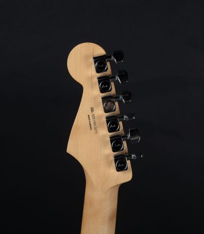FENDER - Guitare électrique ELECTRIC LADYLAND...