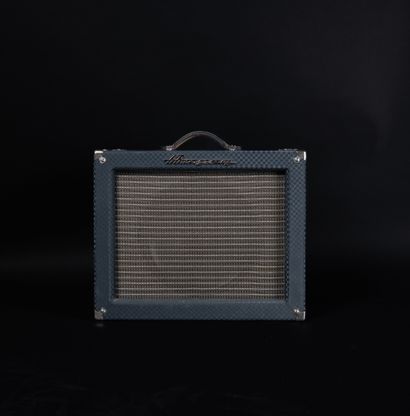 AMPEG - Amplificateur guitare J 12 RW, JET...
