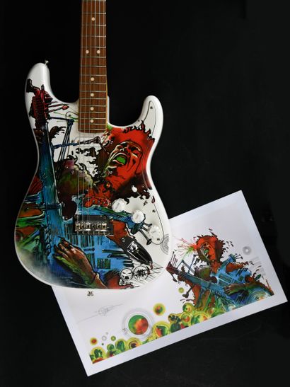 FENDER - Guitare électrique ELECTRIC LADYLAND...