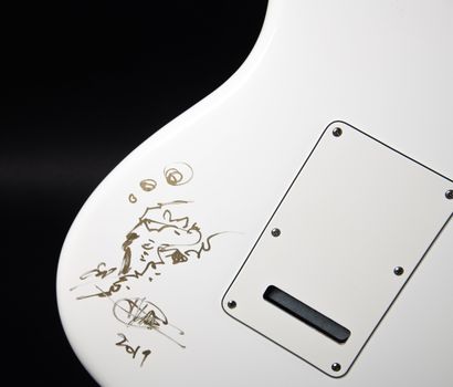 FENDER - Guitare électrique ELECTRIC LADYLAND...