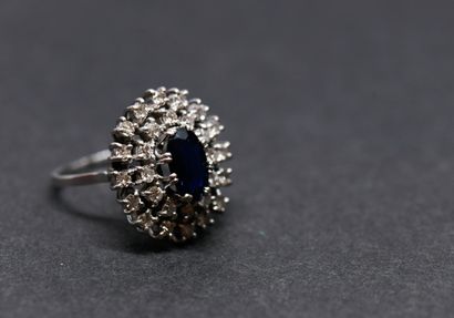 Daisy ring in 18-carat white gold
(750 thousandths)...