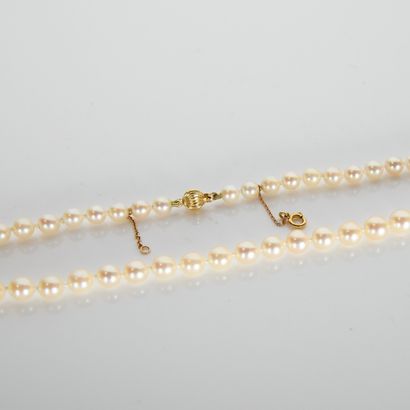 Necklace of 166 falling pearls (diameter...