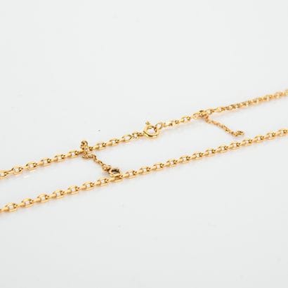 Chain in 18-carat yellow gold (750
milliémes)...