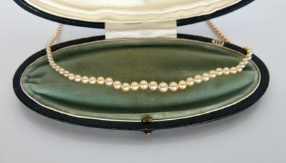 Necklace of 166 falling pearls (diameter...