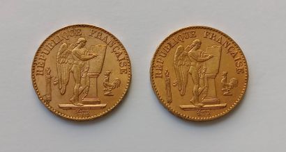 2 French 20 franc gold coins Génie 1895 A...