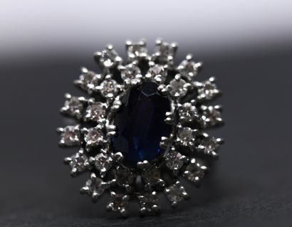 Daisy ring in 18-carat white gold
(750 thousandths)...