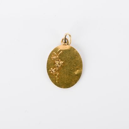 Unencrypted oval medal of the Virgin Mary...