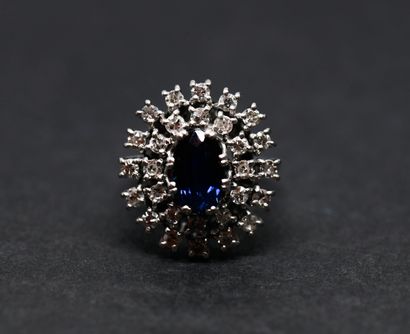 Daisy ring in 18-carat white gold
(750 thousandths)...