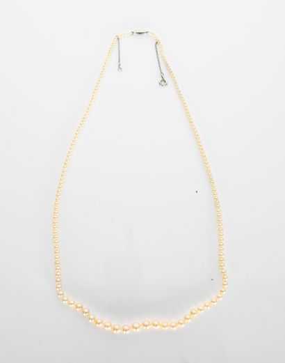 Necklace of 166 falling pearls (diameter...