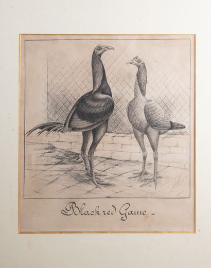 Auguste COROMPT (1861-1908)
Black red Game,...