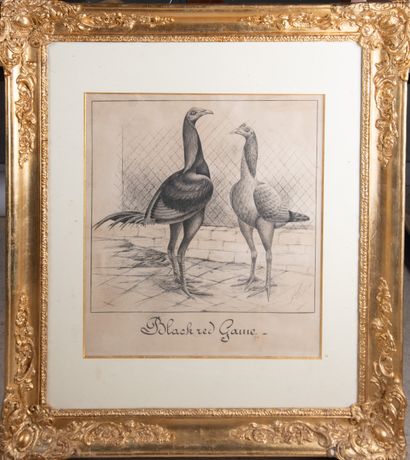Auguste COROMPT (1861-1908)
Black red Game,...