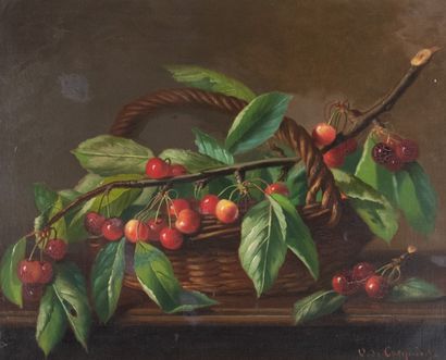 Olivier de COCQUEREL (1838-1903)
Branches...