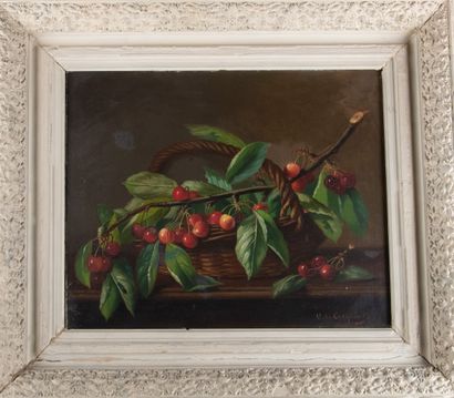 Olivier de COCQUEREL (1838-1903)
Branches...
