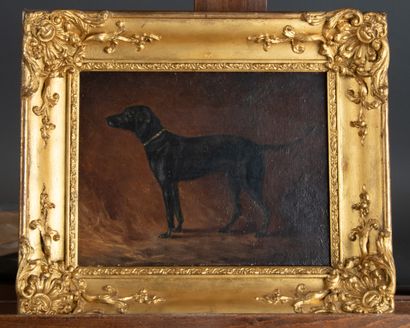 Late 19th century French school
Néro (1880-1898)...