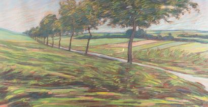 Adrien GODIEN (1873-1949)
Route de campagne...