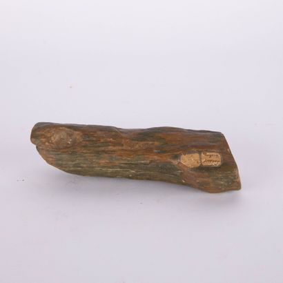 Branche de bois pétrifié en agate
Porte deux...