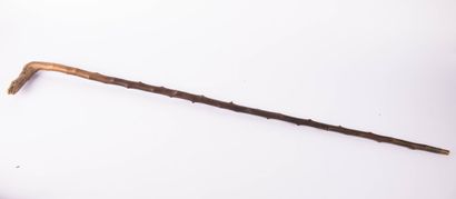 Canne formée d'une branche sculptée, le pommeau...