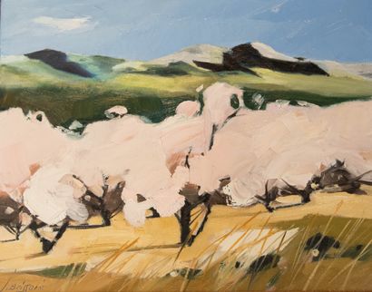 Jean BRISSONI (1932-2024)
Almond trees in...