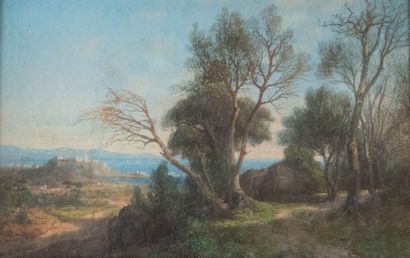 Michel BOUQUET (1807-1890) 
Provence landscape...