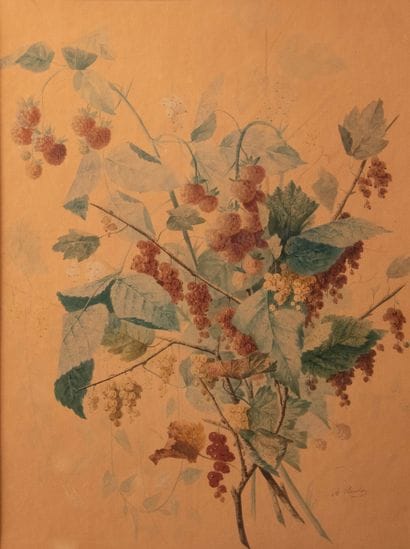 André PERRACHON (1827-1909)	
Bouquet de framboises...