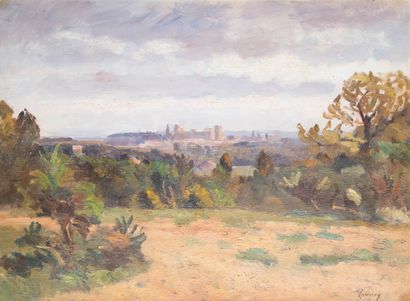 Abel LAUVRAY (1870-1950)
The Avignon countryside...