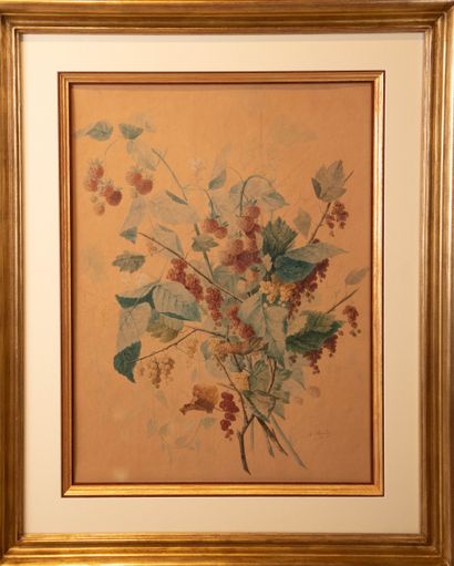 André PERRACHON (1827-1909)	
Bouquet de framboises...
