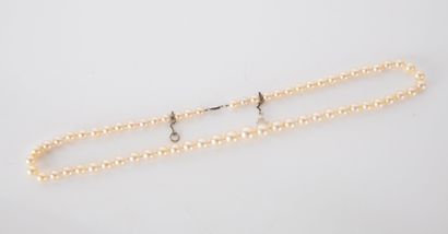 Necklace of falling white cultured pearls,...