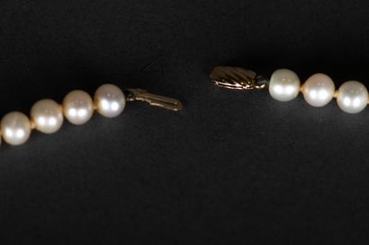 Cultured pearl necklace with clasp in 18K...