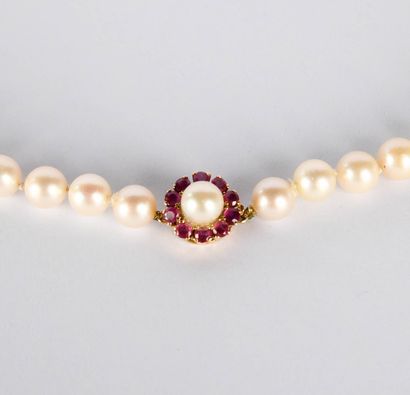 White cultured pearl choker (Liam 7.5 mm...