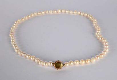 White cultured pearl choker (Liam 7.5 mm...