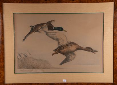 Léon DANCHIN (1887-1938)
Vol de canards
Lithographie...