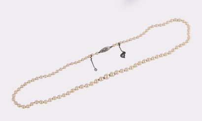 Collier de perles de cultures blanches en...