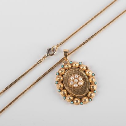 Chaine maille fantaisie et son pendentif...