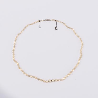 Collier de perles de cultures blanches en...