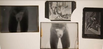 [Curiosa] Reproductions d’un ouvrage et dessins
Boîte...