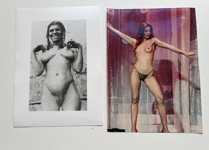 [Curiosa] Érotismes modérés et très variés
1900-1990
Ensemble...