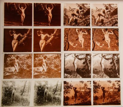 [Curiosa] Nus en plein air et naturisme
France...