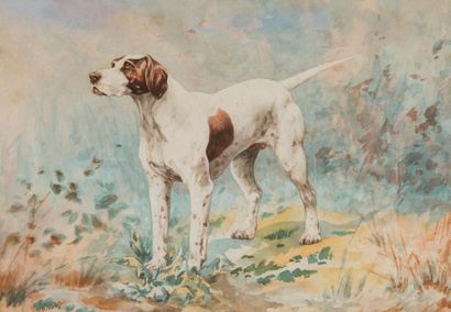 André Masson (1896 - 1987)
Chien. Aquarelle,...