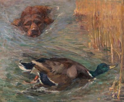 Dore GRAVOS (?)
Chien chassant un colvert....