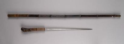 Canne épée bambou fin XIXè