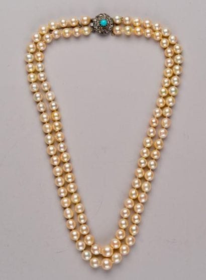 Collier de perles du Pacifique deux rangs,...