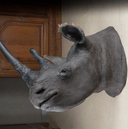 Tête de Rhinocéros en résine 110 x 65 x ...