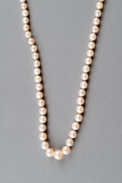 Collier de perles de culture diminutif un...