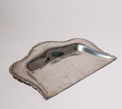 Ramasse miette argent, situé Etats Unis,...