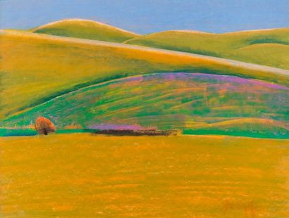 Drangan DRAGIC (1944)
Paysage de vallons,...