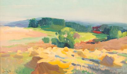 Jean Dulac
Paysage des alentour de Lyon....