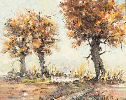 Marcel DURANS (XX)
Trois arbres en autonme....