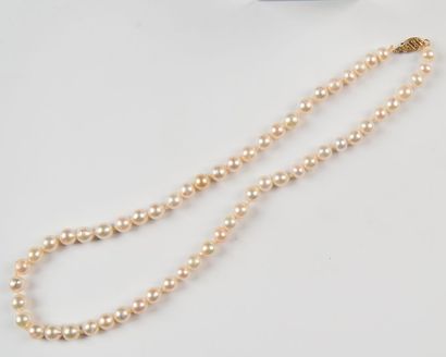 Collier de perles de culture, fermoir or,...