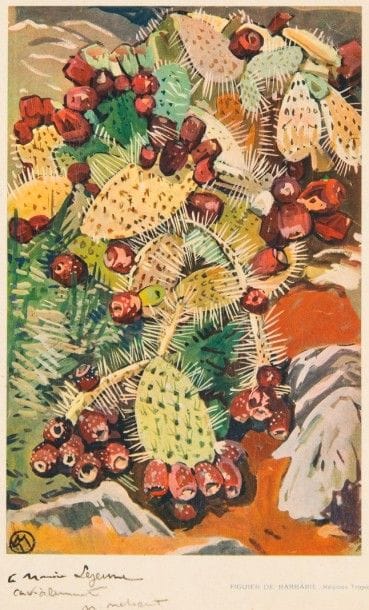 Mathurin MEHEUT (1882-1958)
Figuier de Barbarie,...